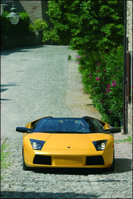 Lamborghini Murcilago Roadster (2004-2006)